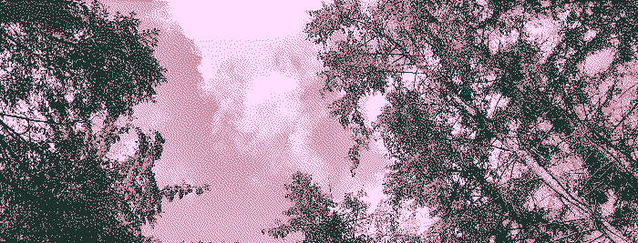 A dithered image of a forest canopy