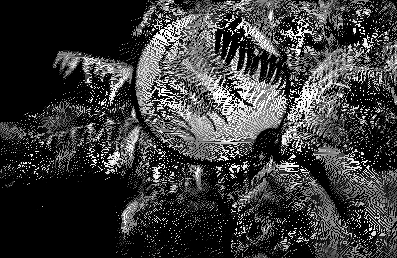 A magnifying glass
